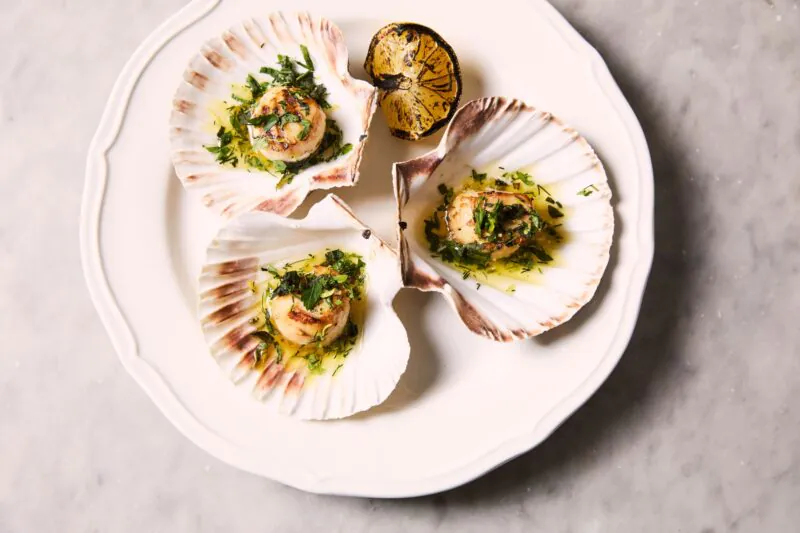 Scallops Emberwood