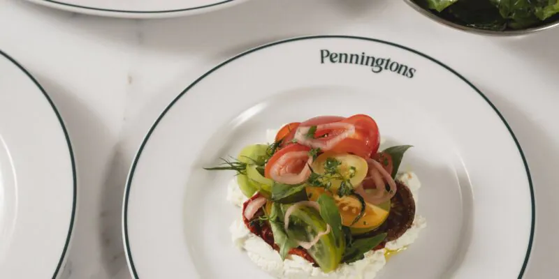 Penningons Windsor heritage tomato starter