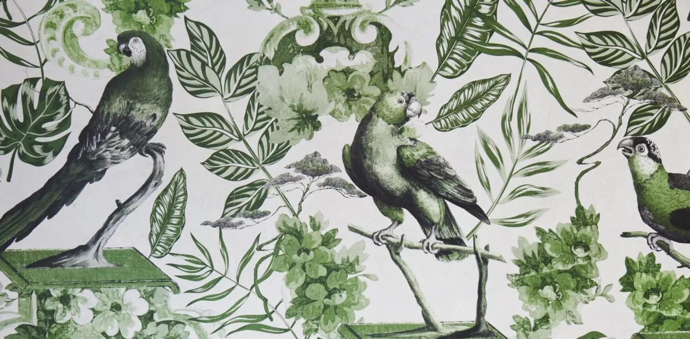 hotel wall with bird decorations