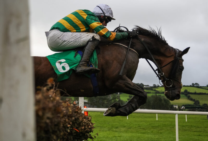 Horse Jumping during race