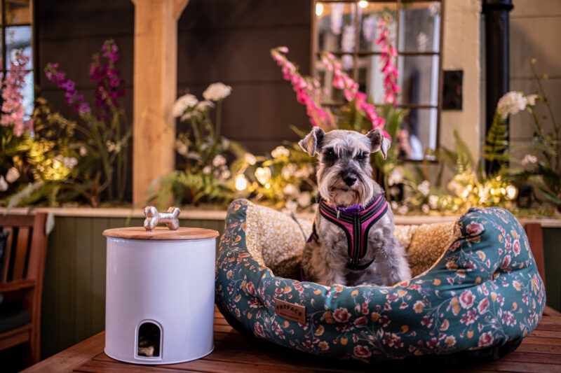 Pet friendly Castle Hotel