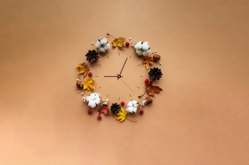 Early Bird Sale banner plain