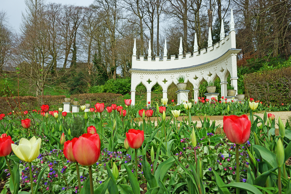 Tulips-in-The-Exedra-in-Rococo-Garden-Painswick-The-Cotswolds